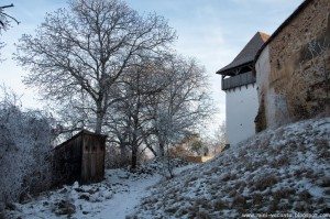 Road Trip - Sighisoara 29