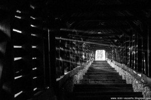 Road Trip - Sighisoara 53