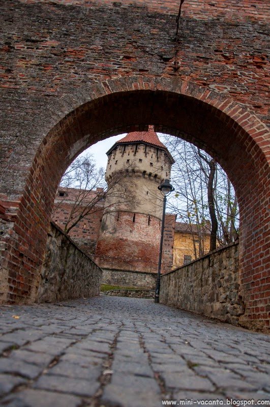 Road Trip - Sibiu Road Trip - Sibiu 11