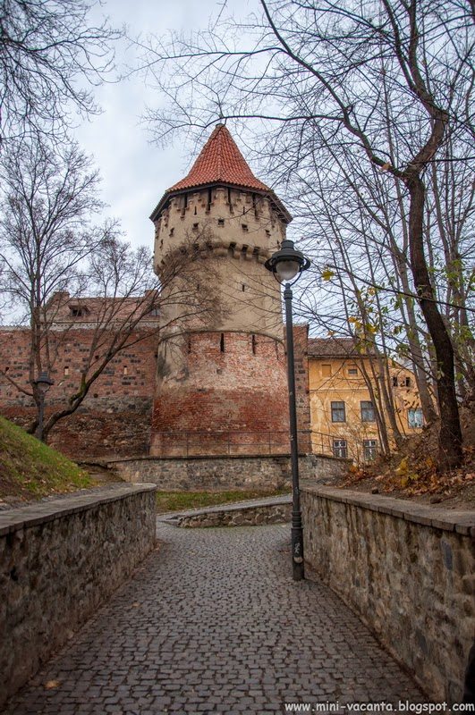 Road Trip - Sibiu Road Trip - Sibiu 12