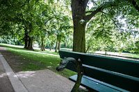 Road Trip - Bruges 3