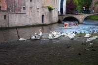 Road Trip - Bruges 8