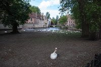 Road Trip - Bruges 7