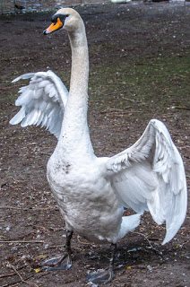 Road Trip - Bruges 9