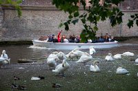 Road Trip - Bruges 11