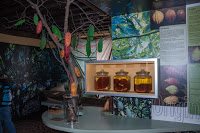 Road Trip - Bruges 80