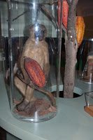 Road Trip - Bruges 82