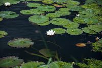 Road Trip - Bruges 129