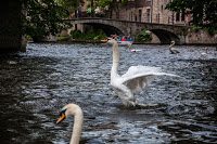 Road Trip - Bruges 138