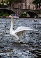 Road Trip - Bruges 137