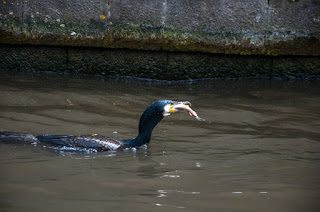 Road Trip - Bruges 141