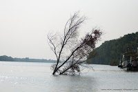 Road Trip - Delta Dunarii 1