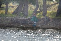 Road Trip - Delta Dunarii 2