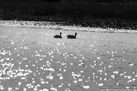 Road Trip - Delta Dunarii 3