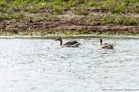 Road Trip - Delta Dunarii 4