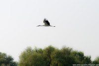 Road Trip - Delta Dunarii 6