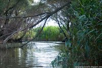 Road Trip - Delta Dunarii 9