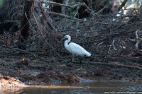 Road Trip - Delta Dunarii 11