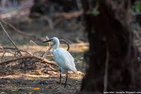 Road Trip - Delta Dunarii 12