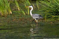 Road Trip - Delta Dunarii 13