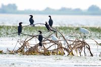 Road Trip - Delta Dunarii 15