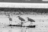 Road Trip - Delta Dunarii 18