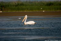 Road Trip - Delta Dunarii 17