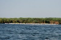 Road Trip - Delta Dunarii 19