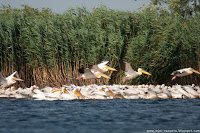 Road Trip - Delta Dunarii 20