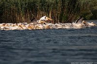 Road Trip - Delta Dunarii 21