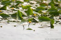 Road Trip - Delta Dunarii 25