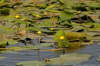 Road Trip - Delta Dunarii 23