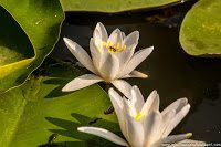 Road Trip - Delta Dunarii 26