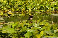 Road Trip - Delta Dunarii 24