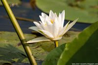 Road Trip - Delta Dunarii 27