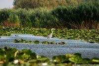 Road Trip - Delta Dunarii 29