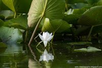 Road Trip - Delta Dunarii 28