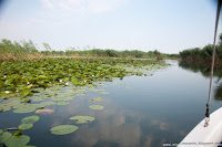 Road Trip - Delta Dunarii 31