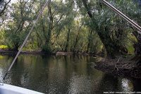 Road Trip - Delta Dunarii 34