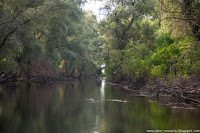 Road Trip - Delta Dunarii 35