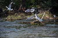 Road Trip - Delta Dunarii 39