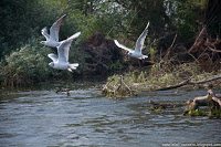 Road Trip - Delta Dunarii 40