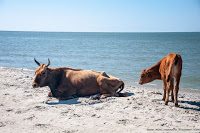 Road Trip - Delta Dunarii 49