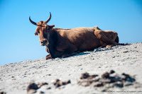 Road Trip - Delta Dunarii 48