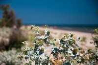 Road Trip - Delta Dunarii 53