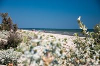 Road Trip - Delta Dunarii 52