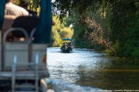 Road Trip - Delta Dunarii 54