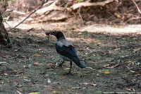 Road Trip - Delta Dunarii 56