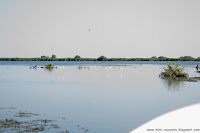 Road Trip - Delta Dunarii 57