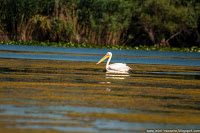 Road Trip - Delta Dunarii 59